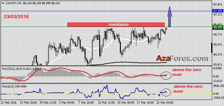 Forex trading recommendations