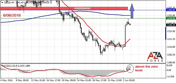 Forex Charts From Independent Data Feed