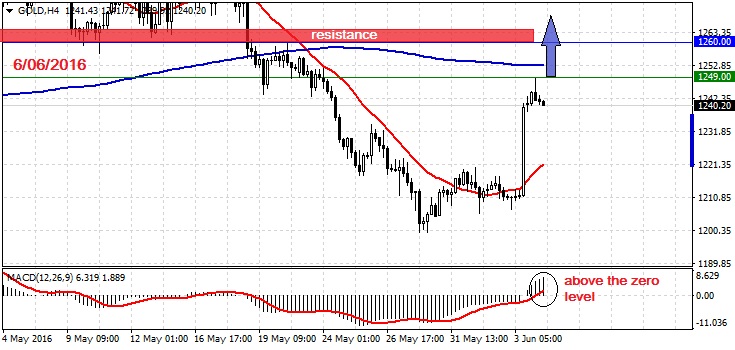 Forex recommendations